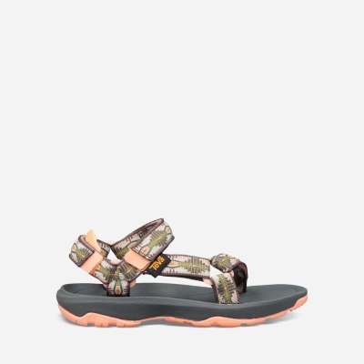 Teva Hurricane XLT 2 Kids' Grey / Orange Hiking Sandals CA74711 Canada Online